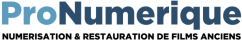 Pronumerique Lyon Logo